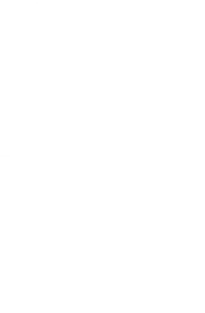 SEED business & organisation architecture